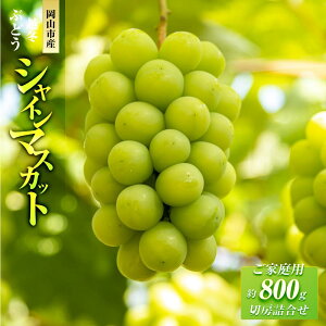 yӂ邳Ɣ[Łz܉ʉ z~Ԃǂyƒpz VC}XJbg ؖ[lߍ킹 800g | t[c ʕ  Hi lC  