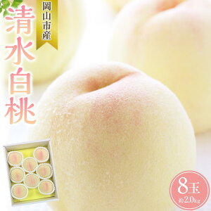 yӂ邳Ɣ[Łz 2026N   8 v2.0kg   RsY Y t[c ʕ Mtg |  t[c ʕ  Hi lC  