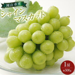 yӂ邳Ɣ[ŁzԂǂ 2025N s\ VC }XJbg 1[ 500g uhE  RsY Y t[c ʕ Mtg | t[c ʕ  Hi lC  