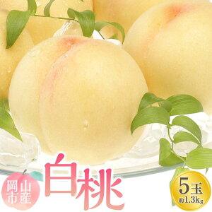 yӂ邳Ɣ[Łz 2026N  5 v1.3kg   RsY Y t[c ʕ Mtg |  t[c ʕ  Hi lC  