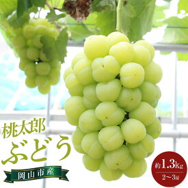 【ふるさと納税】【内容量が選べる】ぶどう 2026年 桃太郎 ぶどう 1房（約500g）又は2～3房（約1.3kg） | フルーツ 果物 くだもの 食品 人気 おすすめ 送料無料