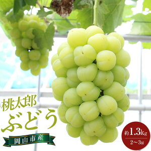 yӂ邳Ɣ[ŁzԂǂ 2025N s\ Y Ԃǂ 1.3kg 2`3[ uhE  RsY Y t[c ʕ Mtg | t[c ʕ  Hi lC  