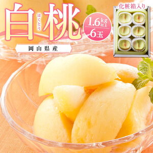 yӂ邳Ɣ[Łz 2026N RY 6(1.6kgȏ) ϔ | t[c ʕ  Hi lC  