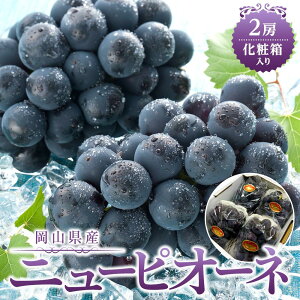 yӂ邳Ɣ[ŁzԂǂ 2026N RY j[sI[l2[(1[480gȏ) ϔ | t[c ʕ  Hi lC  