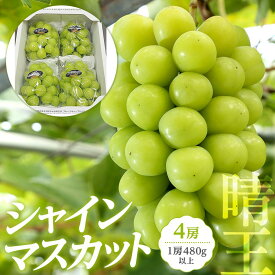 【ふるさと納税】ぶどう 2026年 岡山県産 シャインマスカット『晴王』4房(1房480g以上) | フルーツ 果物 くだもの ぶどう ブドウ シャインマスカット 晴王 国産 岡山県産 食品 人気 おすすめ 送料無料 ギフト 贈り物 贈答品 プレゼント