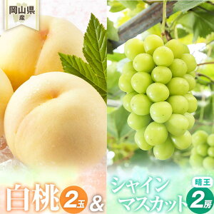 yӂ邳Ɣ[Łz Ԃǂ 2026N RY l/2(1220gȏ)EVC}XJbgwx2[(1[480gȏ) ϔ | t[c ʕ  Hi lC  