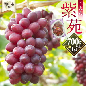 yӂ邳Ɣ[ŁzԂǂ 2026N RY  1[(700gȏ) ϔ | t[c ʕ  Hi lC  