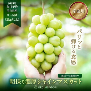 yӂ邳Ɣ[ŁzԂǂ 2025N s\ mƒpn VC }XJbg 2[ ܂ 3`5[ (1kg`2kgȏ)y1SԂǂI茠܁z | VC}XJbg }XJbg uhE  t