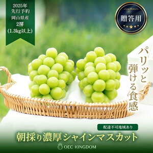 yӂ邳Ɣ[ŁzԂǂ 2025N s\ VC }XJbg 1[ ܂ 2[ (700g`1.3kgȏjy1SԂǂI茠܁z | VC}XJbg }XJbg uhE  t[c ʕ 