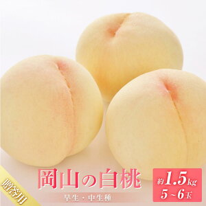 yӂ邳Ɣ[Łz 2026N 6{甭 p R iAj1.5kg 5`6   t[c ʕ Rs {nY Y Ԗؔ_ |  t[c ʕ  Hi 