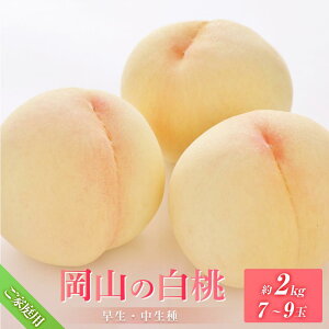 yӂ邳Ɣ[Łz 2026N6{甭 ƒp R iAj2.0kg 7`9   t[c ʕ Rs {nY Y Ԗؔ_ |  t[c ʕ  H