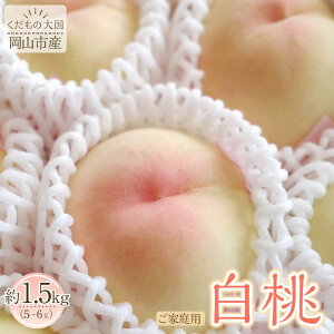 yӂ邳Ɣ[ŁzRsY  ƒp 1.5kg 5~6 2026N7{`8{oׁ | ʕ  t[c st    momo R R  lC 