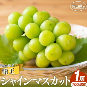 yӂ邳Ɣ[ŁzVC }XJbg 2025N s\  1[ 700gO }XJbg uhE  RY Y t[c ʕ Mtg | t[c ʕ  Hi lC  
