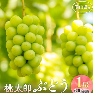 yӂ邳Ɣ[ŁzԂǂ 2025N s\ Y Ԃǂ 1[ 600gO uhE  RY Y t[c ʕ Mtg | t[c ʕ  Hi lC  