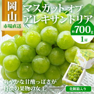 yӂ邳Ɣ[ŁzԂǂ 2026N }XJbg EIuEALThA 1[ 700gȏ ϔ }XJbg uhE  RY Y t[c ʕ Mtg | t[c ʕ  Hi l