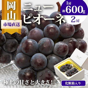yӂ邳Ɣ[ŁzԂǂ 2025N s\ j[ sI[l 2[i1[600gȏjϔ uhE  RY Y t[c ʕ Mtg | t[c ʕ  Hi lC  