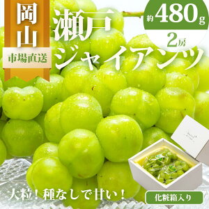 yӂ邳Ɣ[ŁzԂǂ 2025N s\  WCAc 2[i1[480gȏj1kg ϔ uhE  RY Y t[c ʕ Mtg | t[c ʕ  Hi lC 