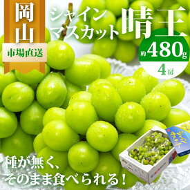 【ふるさと納税】ぶどう 2026年 シャイン マスカット 晴王 4房（1房480g以上）約2kg マスカット ブドウ 葡萄 岡山県産 国産 フルーツ 果物 ギフト | フルーツ 果物 くだもの 食品 人気 おすすめ 送料無料