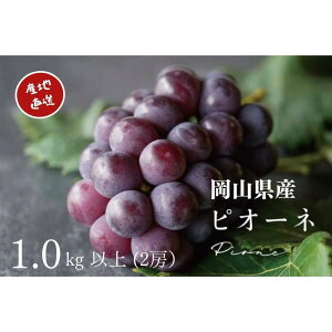 yӂ邳Ɣ[ŁzI j[sI[l 2[ v1.0kgȏ Yn ̂ Ԃǂ  Kawahara Green Farm RY 2026N | ʕ t[c R̃uhE fU[g Hו Y {Y