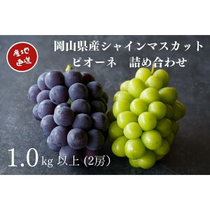 yӂ邳Ɣ[ŁzI VC}XJbgEj[sI[l 2[ v1.0kgȏ l Yn ̂ Ԃǂ  Kawahara Green Farm RY 2026N | ʕ t[c R̃uhE fU[g H