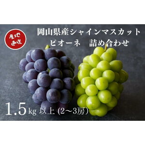 yӂ邳Ɣ[ŁzI VC}XJbgEj[sI[l 2`3[ v1.5kgȏ l Yn ̂ Ԃǂ  Kawahara Green Farm RY 2026N | ʕ t[c R̃uhE fU[g 