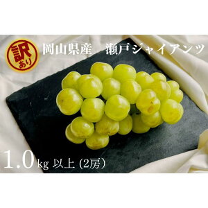 yӂ邳Ɣ[Łz󂠂 ˃WCAc@2[ v1.0kgȏ Yn ̂ Ԃǂ  R Kawahara Green Farm@RY 2025 | ʕ t[c R̃uhE fU[g Hו Y {Y