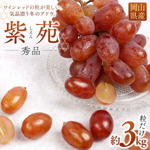 yӂ邳Ɣ[ŁzԂǂ 2025N s\  Gi  3kg R Y ʕ t[c 2025N10{甭 | t[c ʕ  Hi lC  