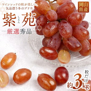 yӂ邳Ɣ[ŁzԂǂ 2025N s\  I Gi  3kg R Y ʕ t[c 2025N10{甭 | t[c ʕ  Hi lC  