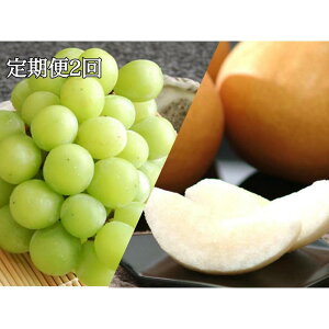 �y�ӂ邳�Ɣ[�Łz�y�����2��z�V���C���}�X�J�b�g�ƐV������2�J���A�����͂� �^�i9�������j�V���C���}�X�J�b�g 2�[ ��1.2kg�E�i10�������j �V���� 4�`6�� ��3kg | �}�X�J�b�g ���� �Ԃǂ� �u�h