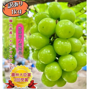 yӂ邳Ɣ[ŁzԂǂ 2025N 󂠂 VC}XJbg 1kg R Y ʕ t[c VC }XJbg 2025N7{甭 | t[c ʕ  VC}XJbg }XJb