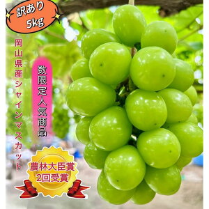 yӂ邳Ɣ[ŁzԂǂ 2025N VC}XJbg 󂠂 5kg R Y ʕ t[c VC }XJbg 2025N7{甭 | t[c ʕ  VC}XJbg }XJb
