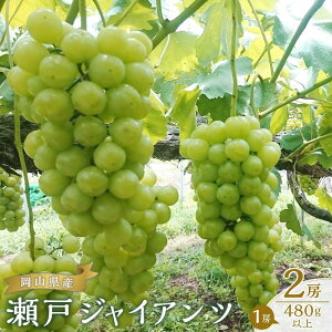 �y�ӂ邳�Ɣ[�Łz�Ԃǂ� 2026�N ���� �W���C�A���c 2�[�i1�[480g�ȏ�j �u�h�E ���� ���R���Y ���Y �t���[�c �ʕ� �M�t�g | �t���[�c �ʕ� �������� �H�i �l�C �������� ��������