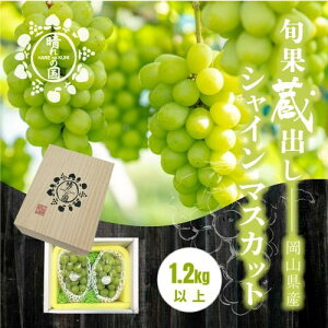 【ふるさと納税】【旬果蔵出し】岡山県産 シャインマスカット 1.2kg以上(2〜3房)<2025年12月上旬〜2026年1月下旬発送> | シャインマスカット 岡山 シャイン マスカット 岡山県 ぶどう 葡萄