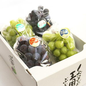 yӂ邳Ɣ[Łz2026N ڔ_ Ԃǂ ZNV 4[iv2.0kgj | t[c ʕ  Hi lC