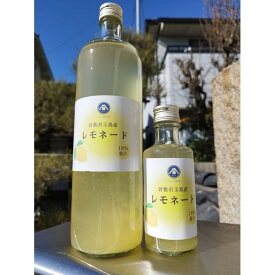 【ふるさと納税】レモネード　900ml×3本セット | 飲料 果実飲料 ドリンク 食品 人気 おすすめ 送料無料