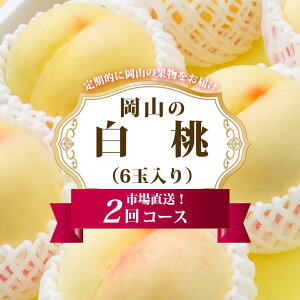 【ふるさと納税】桃 定期便 2026年 岡山 の 白桃 6玉 合計1.6kg以上×2回 お届け 化粧箱入り もも モモ 岡山産 国産 フルーツ 果物 ギフト | もも フルーツ 果物 くだもの 食品 人気 おすすめ 送料