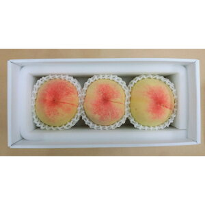 yӂ邳Ɣ[Łzy2026NzƂ낯鉪Ȓʔ 3ʁi1.0kgj | t[c ʕ  Hi lC  