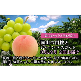 【ふるさと納税】【定期便】 岡山の白桃とシャインマスカット　2回お届け（8月・9月）【2027年度発送】 | フルーツ 果物 くだもの 食品 人気 おすすめ 送料無料