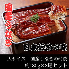 【ふるさと納税】国産うなぎ蒲焼　大サイズ　約180g×2尾セット