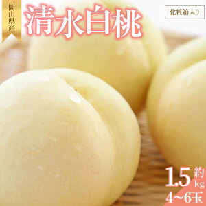 yӂ邳Ɣ[Łz 2026N   1.5kg 4~6   RY Y t[c ʕ Mtg ؔ_ |  t[c ʕ  Hi lC  