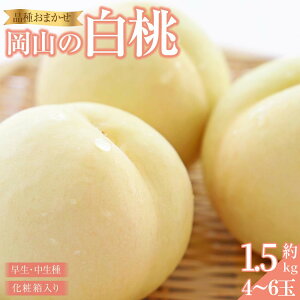 yӂ邳Ɣ[Łz 2026N R iAj1.5kg 4~6   RY Y t[c ʕ Mtg ؔ_ |  t[c ʕ  Hi lC  