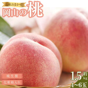 yӂ邳Ɣ[Łz 2026N R̓iӐj1.6kg 4~6   RY Y t[c ʕ Mtg ؔ_ |  t[c ʕ  Hi lC  