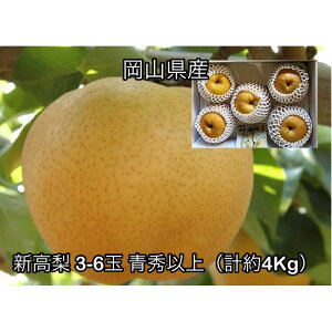 【ふるさと納税】【2026年発送】岡山県産 新高梨 3〜6玉 青秀以上 (計約4.0kg)化粧箱入り