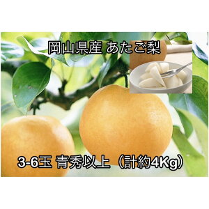 yӂ邳Ɣ[Łzy2026NzRY  3`6 Gȏ (v4.0kg)ϔ