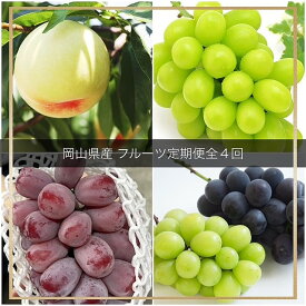 【ふるさと納税】フルーツ 2026年 岡山県産 定期便 4回コース（シャインマスカット・ニューピオーネ・岡山冬桃がたり等） | 果物 期間限定 桃 もも momo 葡萄 ぶどう ブドウ シャインマスカット シャイン マスカット ニューピオーネ ピオーネ 甘い 岡山市