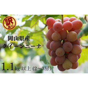 yӂ邳Ɣ[Łz󂠂 NC[j[i@2`3[ v1.1kgȏ Yn ̂ Ԃǂ  R Kawahara Green Farm@RY 2026N | ʕ t[c R̃uhE fU[g Hו Y {Y