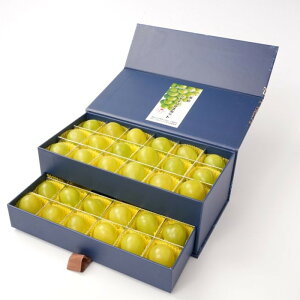 yӂ邳Ɣ[ŁzԂǂ 2026N VC }XJbg 嗱̂ 36 JEWELBOX Mtg 蕨 R Y ʕ t[c VC }XJbg | t[c ʕ  Hi lC  