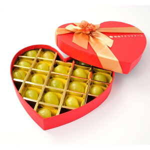 yӂ邳Ɣ[ŁzԂǂ2026N RYVC}XJbgJewelry boxϔ18py̐FIт܂z | t[c ʕ  Hi lC  