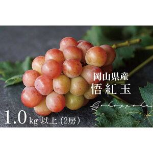 yӂ邳Ɣ[ŁzI@g Sr[ 1.0kgȏ 2[ ̂ Ԃǂ  Kawahara Green Farm@RY@2026N