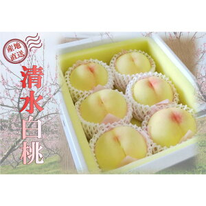 �y�ӂ邳�Ɣ[�Łz�� 2026�N �����p ���R ���� ���� ��2kg�i5�`7�ʁj ���� ���� ���R�� ���R�s�Y ���Y �t���[�c �ʕ� �M�t�g | ���� �t���[�c �ʕ� �������� �H�i �l�C �������� ��������